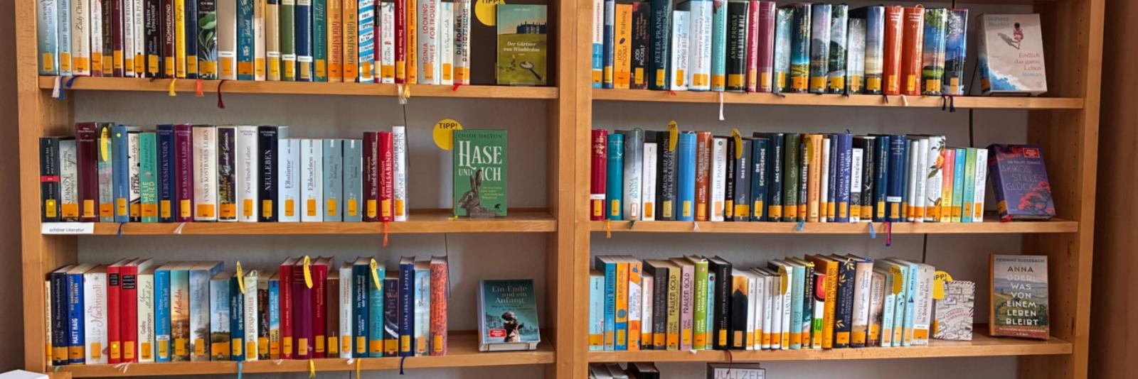Ansicht unserer Bücher für Erwachsene